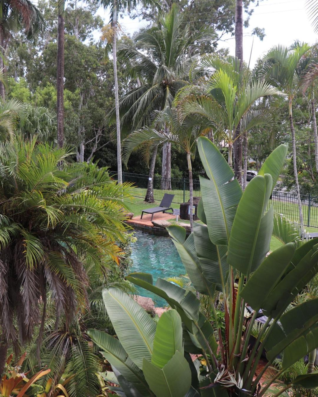 Colonial Palms Motor Inn Airlie Beach Ngoại thất bức ảnh