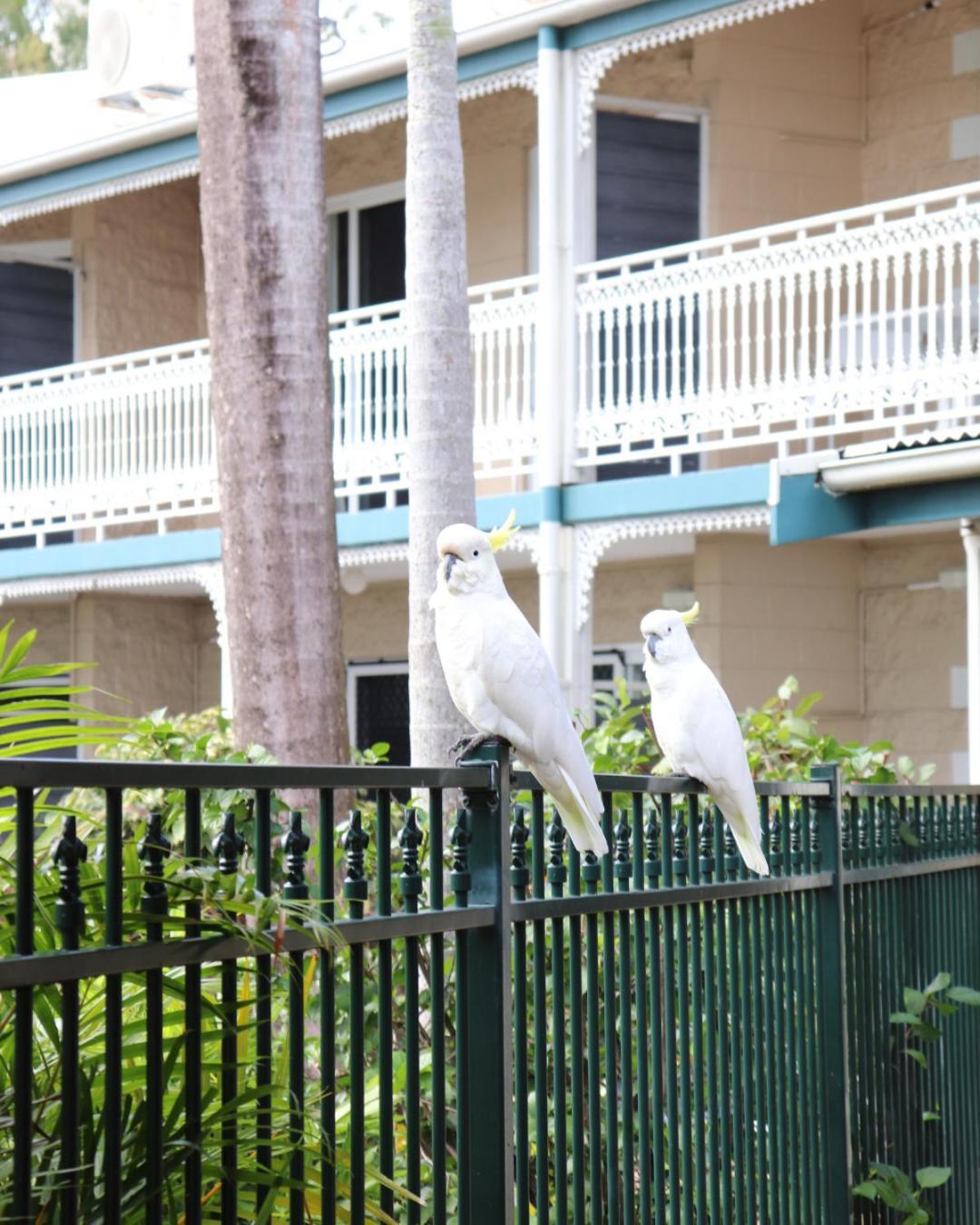 Colonial Palms Motor Inn Airlie Beach Ngoại thất bức ảnh